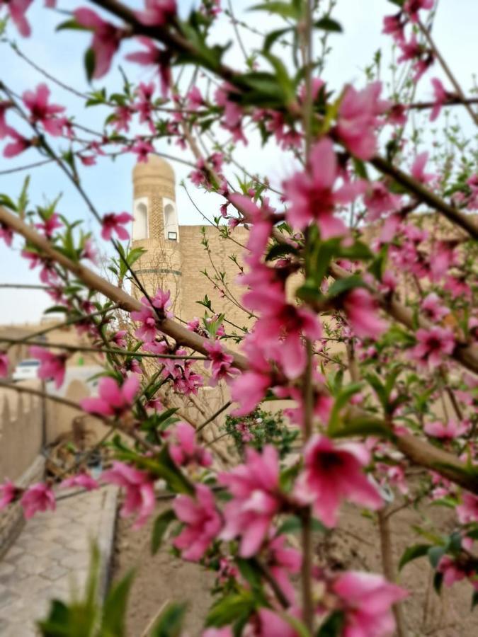 Guest House Khiva Boyjon Ota Exterior foto